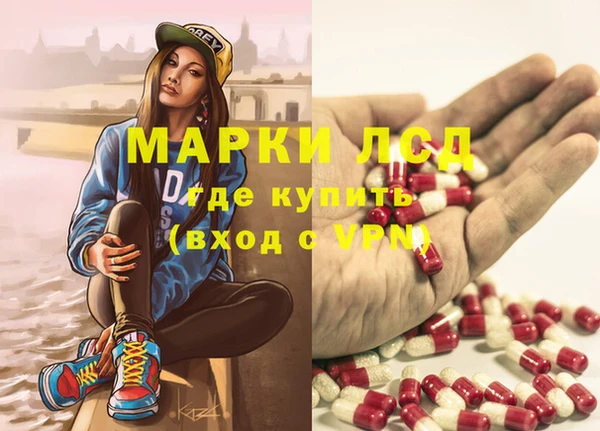 ГАЛЛЮЦИНОГЕННЫЕ ГРИБЫ Майский