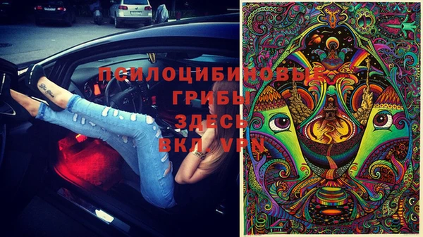 ГАЛЛЮЦИНОГЕННЫЕ ГРИБЫ Майский