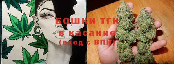 ГАЛЛЮЦИНОГЕННЫЕ ГРИБЫ Майский