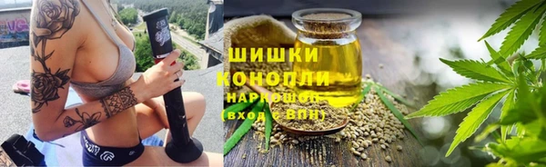 ГАЛЛЮЦИНОГЕННЫЕ ГРИБЫ Майский