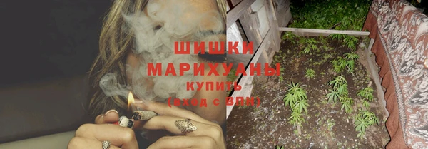 ГАЛЛЮЦИНОГЕННЫЕ ГРИБЫ Майский