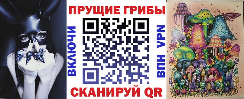 Купить где Магадан Галлюциногенные грибы прущие грибы